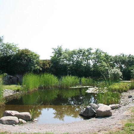 Villa Dorphus Neuenkirchen auf Rugen Esterno foto